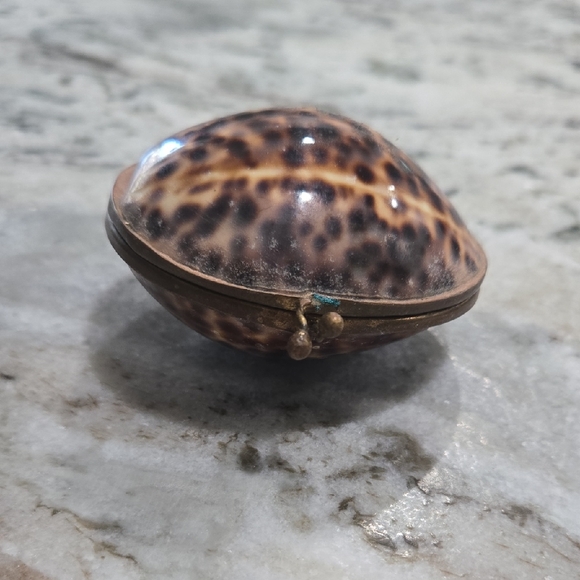 Shell Trinket Box - Picture 1 of 6